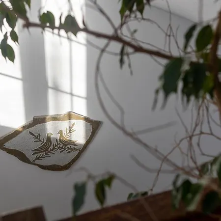 Alsos Daire Naxos City