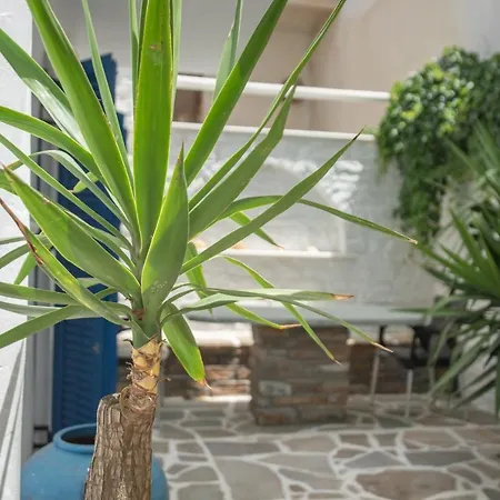 Alsos Apartment Naxos City